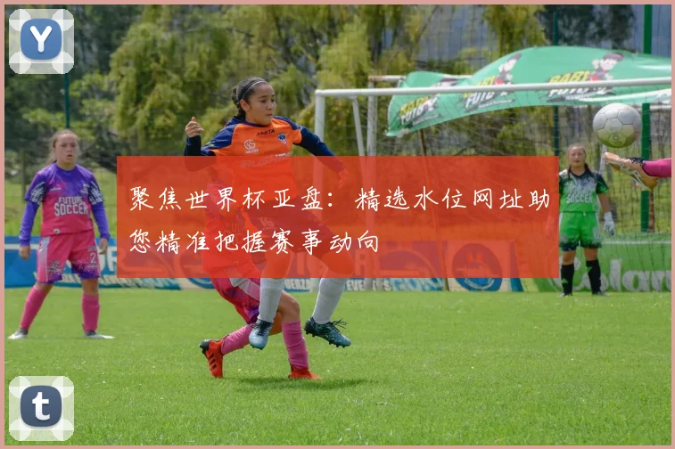 聚焦世界杯亚盘：精选水位网址助您精准把握赛事动向