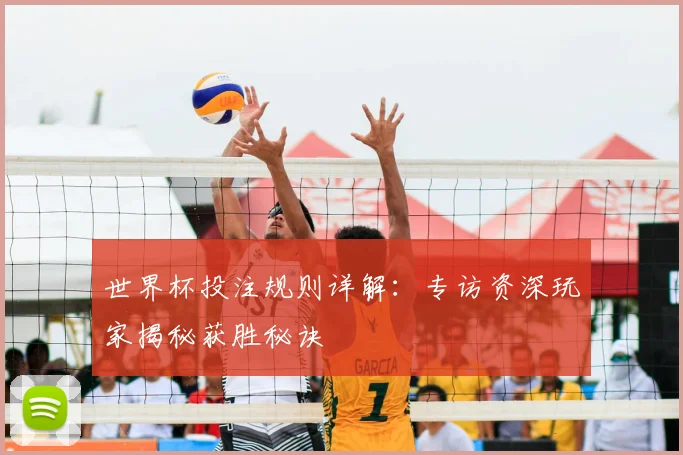 世界杯投注规则详解:专访资深玩家揭秘获胜秘诀
