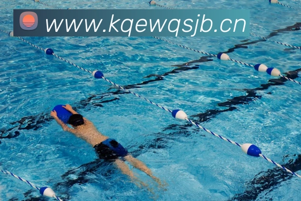 星空网官方网站入口平台生态图